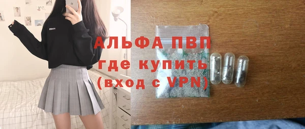 сатива Осташков