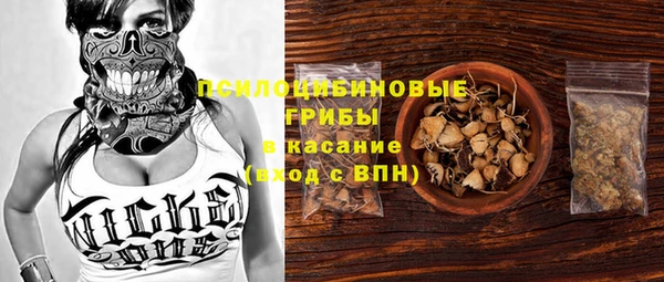 ешки Осинники