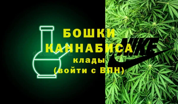 сатива Осташков