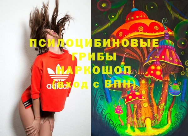 сатива Осташков