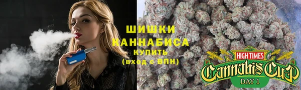 сатива Осташков