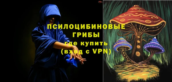 сатива Осташков