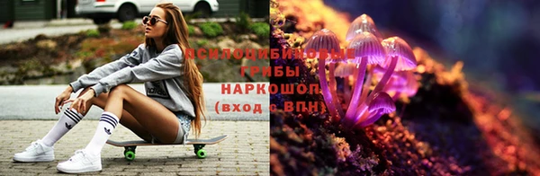 круглые Нягань