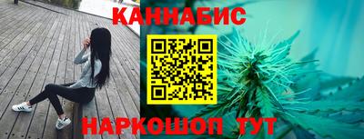 Альфа ПВП Новозыбков