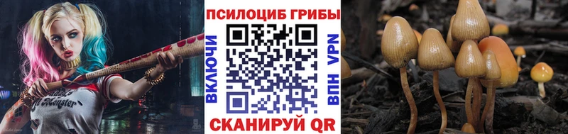 Псилоцибиновые грибы мицелий Туймазы