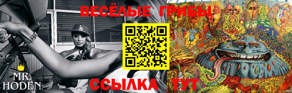 Галлюциногенные грибы Psilocybine cubensis Туймазы
