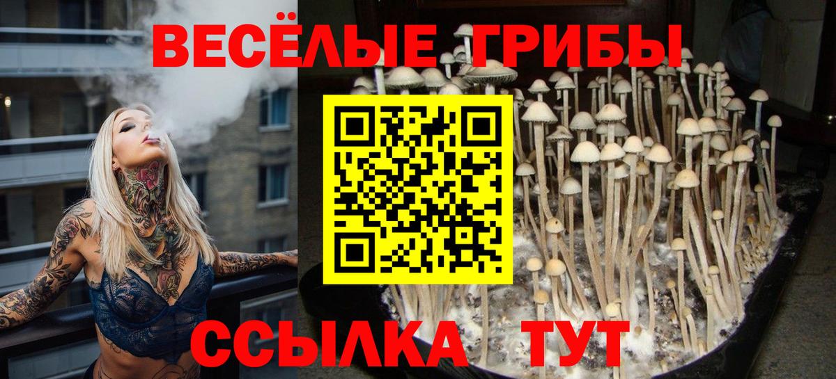 Псилоцибиновые грибы прущие грибы Туймазы