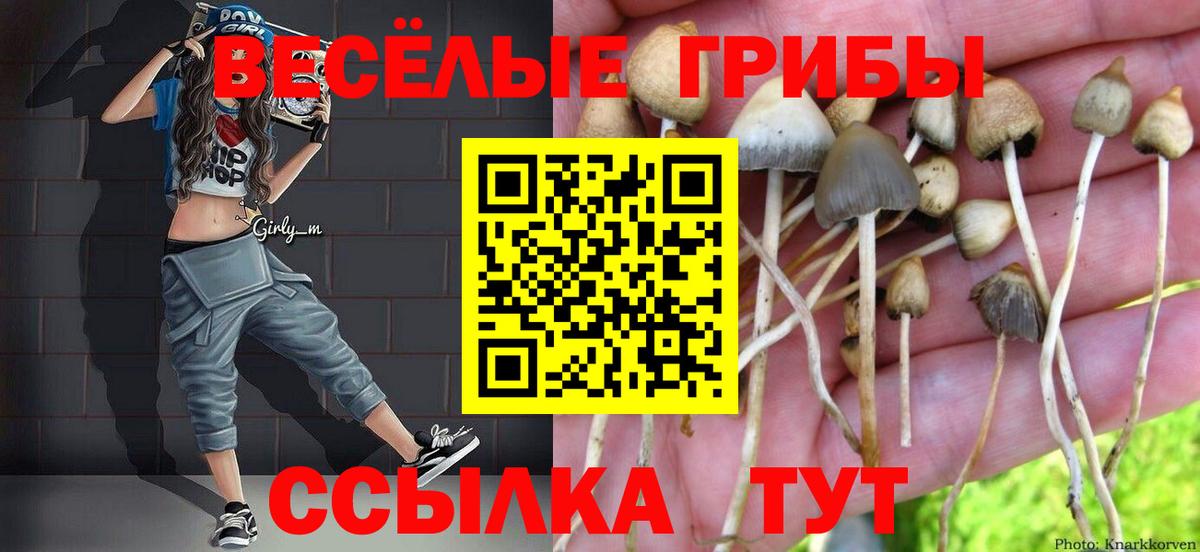 Туймазы  Галлюциногенные грибы Cubensis  Вход с VPN 