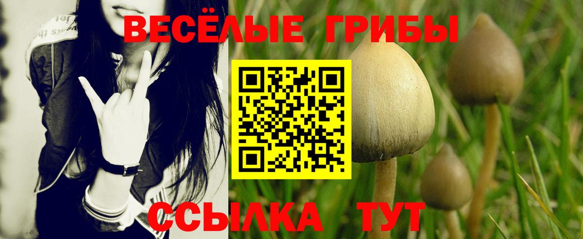 Туймазы  Галлюциногенные грибы MAGIC MUSHROOMS  Вход с VPN 